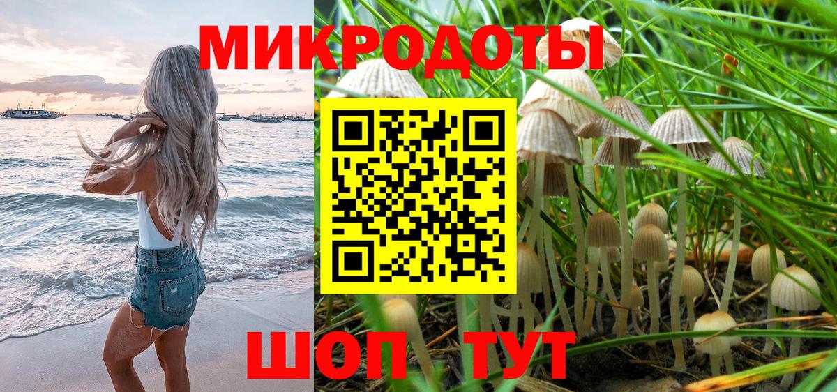 купить наркотик  Вход с VPN  Галлюциногенные грибы MAGIC MUSHROOMS  Дзержинск  Псилоцибиновые грибы Cubensis 